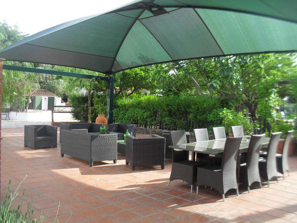 Quinta Do Outeiro Alto Villa Constância Exteriör bild