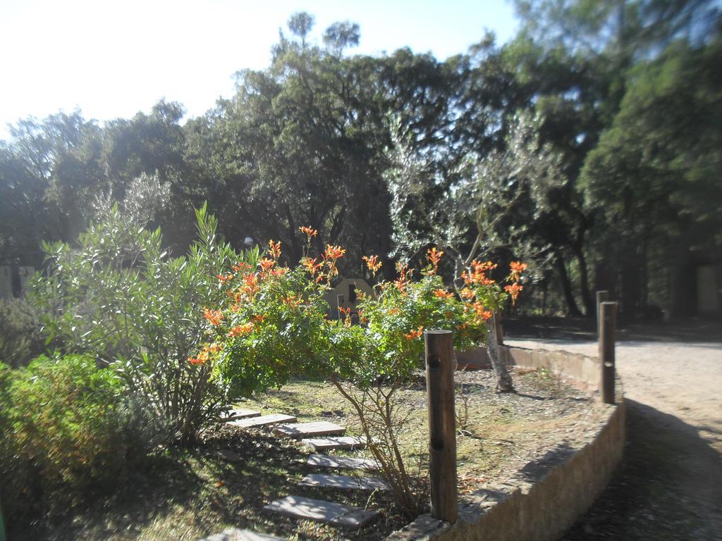Quinta Do Outeiro Alto Villa Constância Exteriör bild
