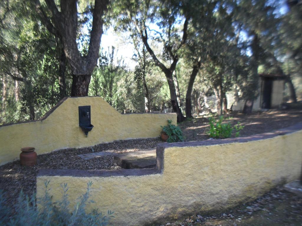 Quinta Do Outeiro Alto Villa Constância Exteriör bild