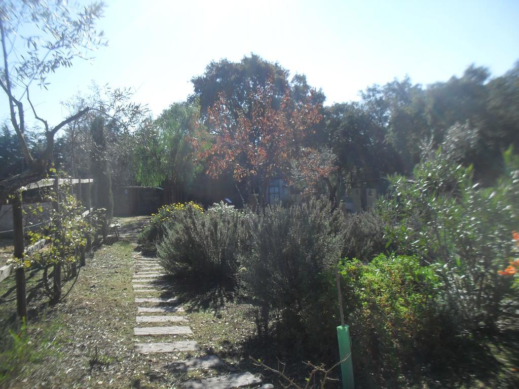 Quinta Do Outeiro Alto Villa Constância Exteriör bild