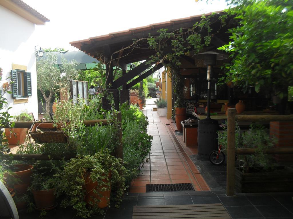 Quinta Do Outeiro Alto Villa Constância Exteriör bild