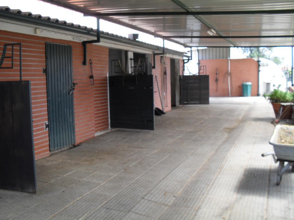 Quinta Do Outeiro Alto Villa Constância Exteriör bild