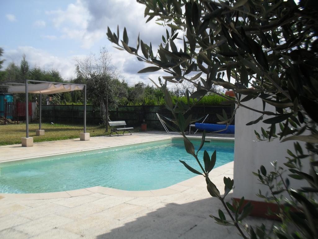 Quinta Do Outeiro Alto Villa Constância Exteriör bild