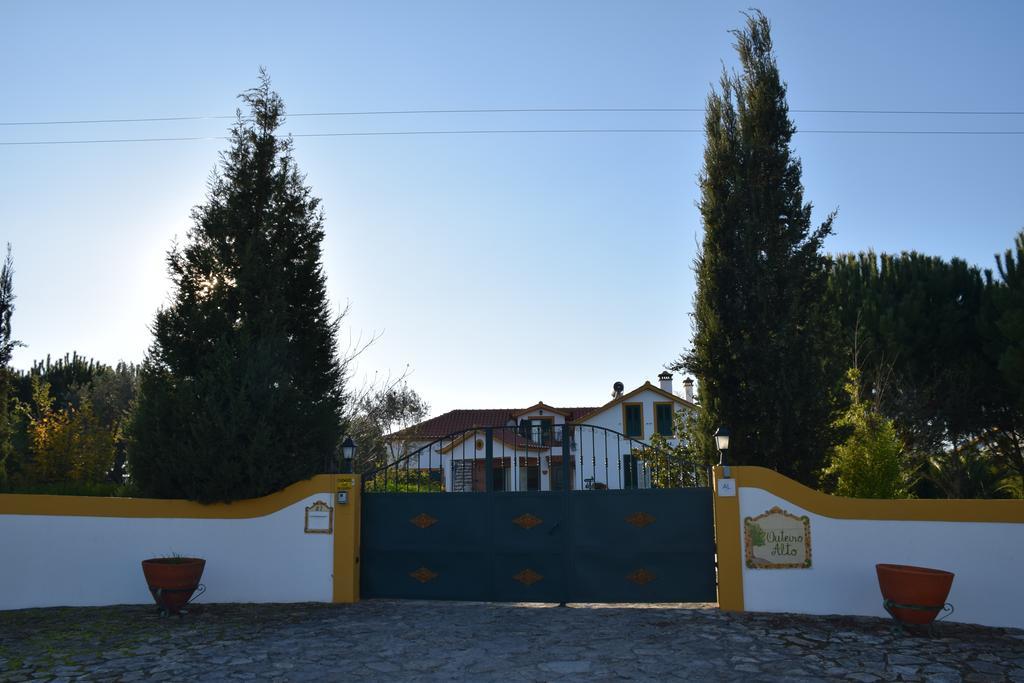 Quinta Do Outeiro Alto Villa Constância Exteriör bild