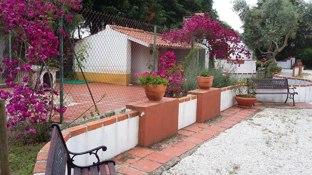 Quinta Do Outeiro Alto Villa Constância Exteriör bild